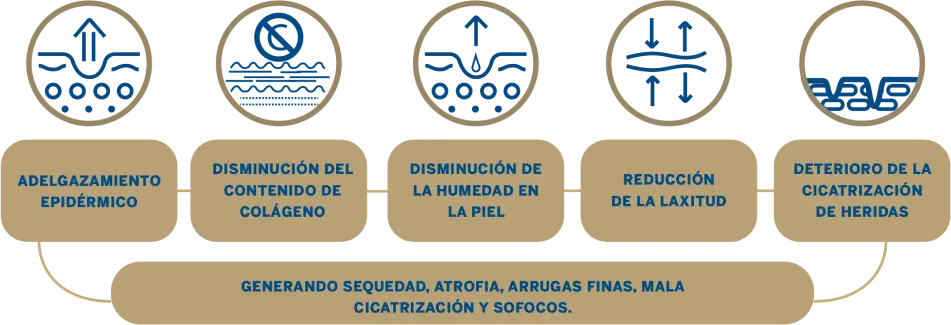 Diagrama de los efectos del envejecimiento en la piel