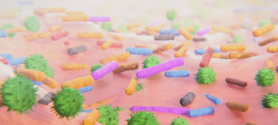 Disbiosis de la microbiota