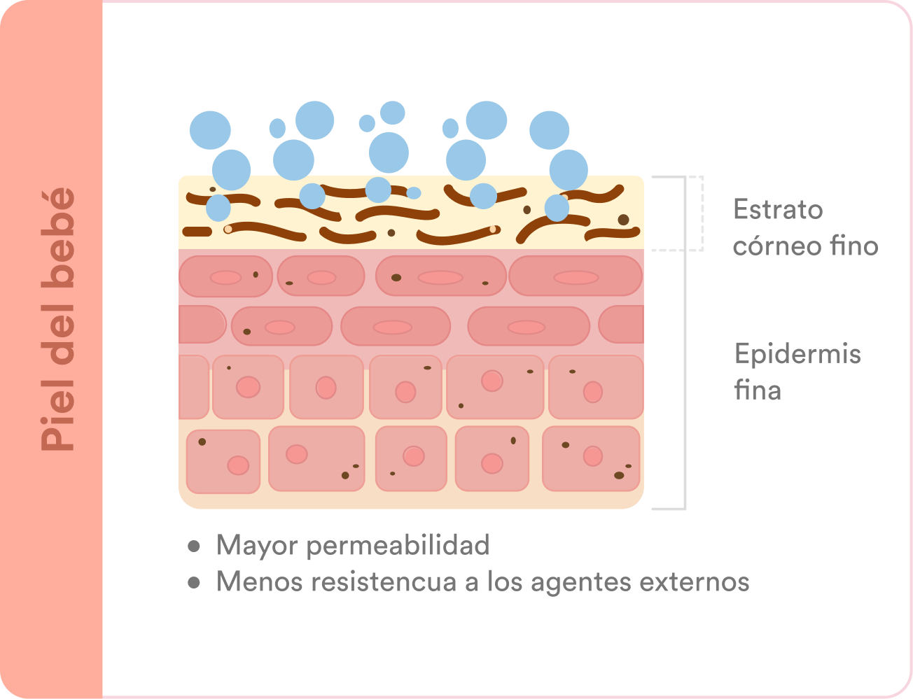 Piel del Bebé